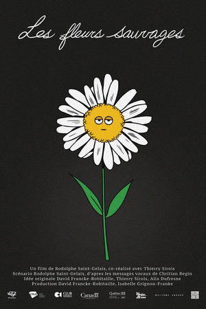 Wild Flowers Wild Flowers