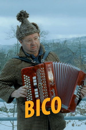 Bico Bico