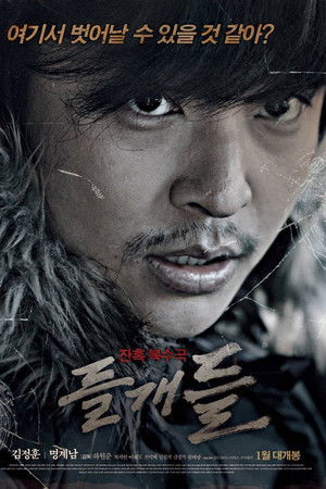 Stray Dogs Stray Dogs