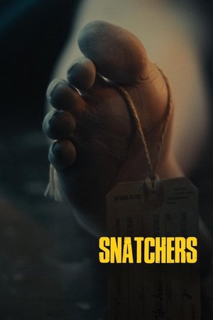 Snatchers