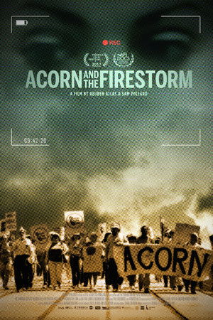 Acorn and the Firestorm Acorn and the Firestorm
