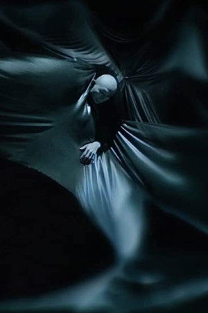 Singularity Song Singularity Song