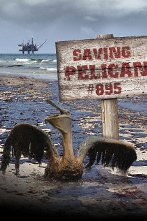 Saving Pelican 895 Saving Pelican 895