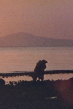 Pure Land, Poisoned Sea Pure Land, Poisoned Sea