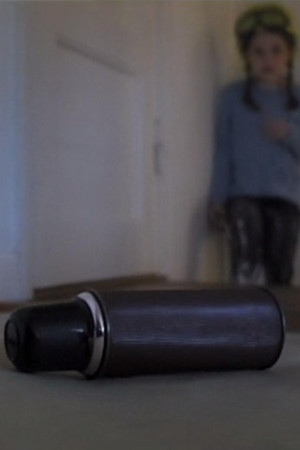 The Thermos The Thermos