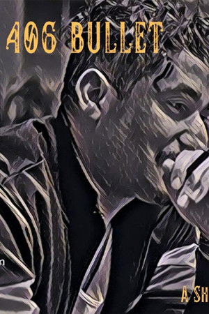 406 Bullet 406 Bullet