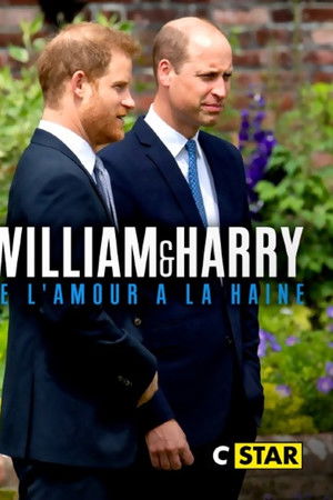 William et Harry : de l'amour à la haine William et Harry : de l'amour à la haine