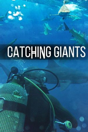 Catching Giants: Zambezi Shark Catching Giants: Zambezi Shark