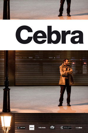 Cebra Cebra