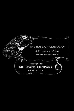The Rose of Kentucky The Rose of Kentucky