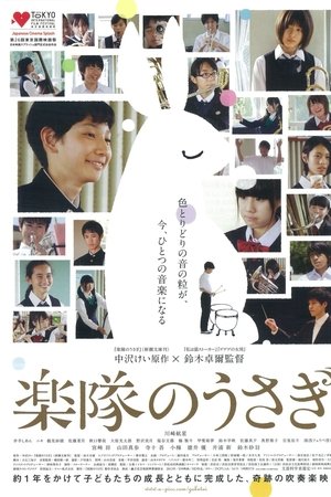 A Band Rabbit and a Boy A Band Rabbit and a Boy