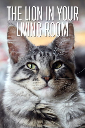 The Lion In Your Living Room The Lion In Your Living Room