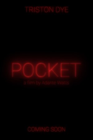 POCKET POCKET