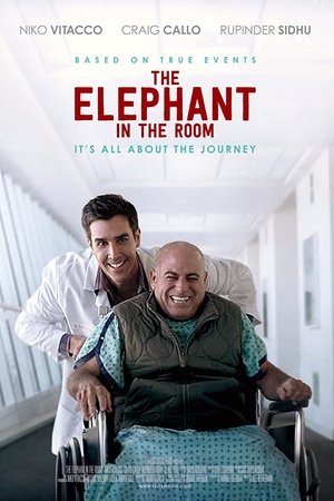 The Elephant In The Room The Elephant In The Room