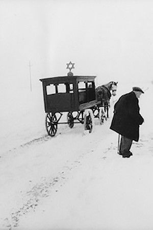 Song of Radauti Song of Radauti