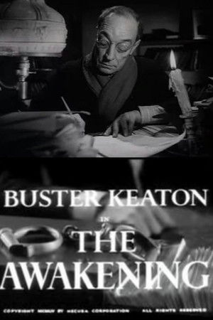 The Awakening The Awakening