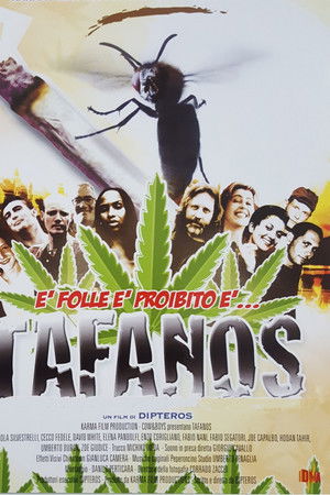 Tafanos Tafanos