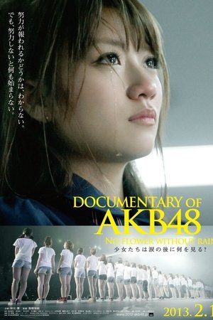 Documentary of AKB48 No Flower Without Rain Documentary of AKB48 No Flower Without Rain