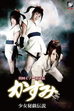 Lady Ninja Kasumi 10 Lady Ninja Kasumi 10