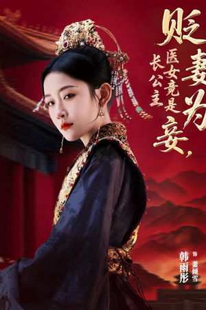 贬妻为妾, 医女竟是长公主 贬妻为妾, 医女竟是长公主