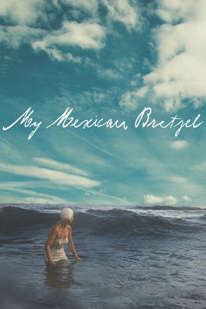 My Mexican Bretzel My Mexican Bretzel