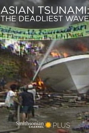 Asian Tsunami: The Deadliest Wave Asian Tsunami: The Deadliest Wave
