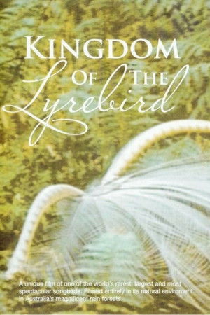 Kingdom Of The Lyrebird Kingdom Of The Lyrebird