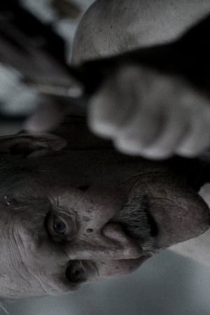 Black District Blues Black District Blues