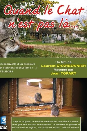 Quand le Chat n'est pas là…