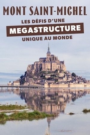 Mont-Saint-Michel Les défis d'une mégastructure unique au monde Mont-Saint-Michel Les défis d'une mégastructure unique au monde