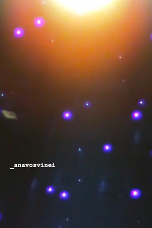 _anavosvinei _anavosvinei