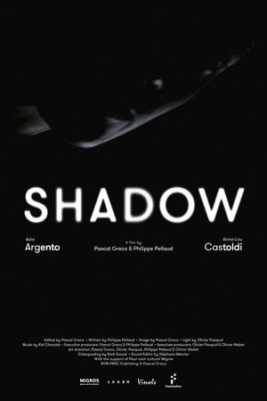 Shadow Shadow