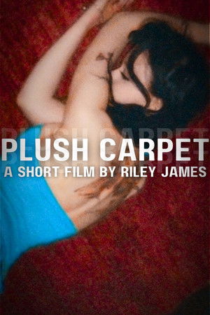 Plush Carpet Plush Carpet