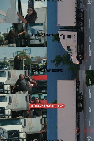 DRIVER DRIVER