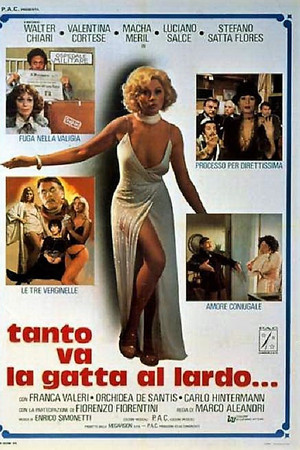 Tanto va la gatta al lardo...