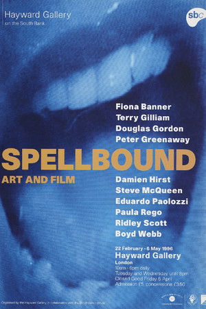 In the Dark In the Dark