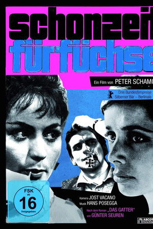 No Shooting Time for Foxes