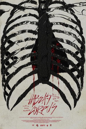 You Shall Have the Body You Shall Have the Body