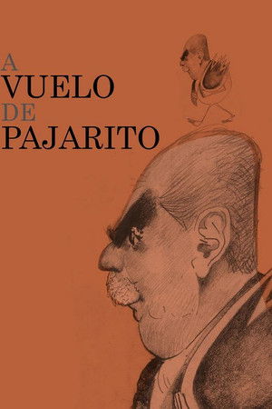 A vuelo de pajarito A vuelo de pajarito