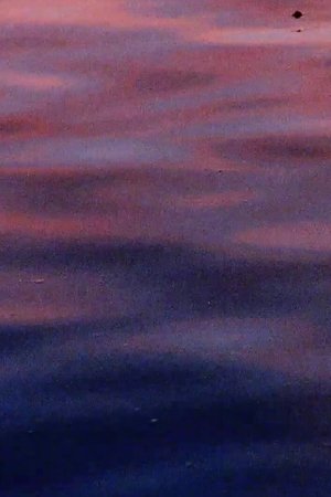 Color-Blind Color-Blind