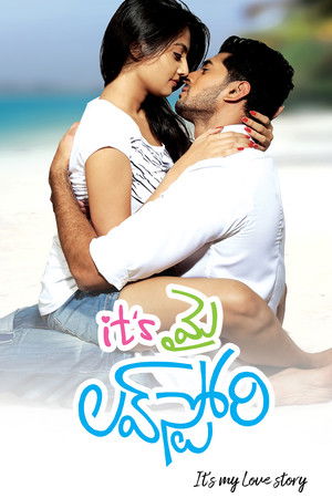 It's My Love Story It's My Love Story