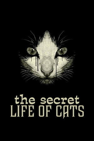 The Secret Life of Cats The Secret Life of Cats