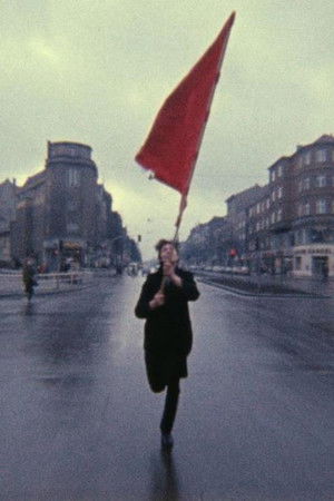 Color Test: The Red Flag Color Test: The Red Flag