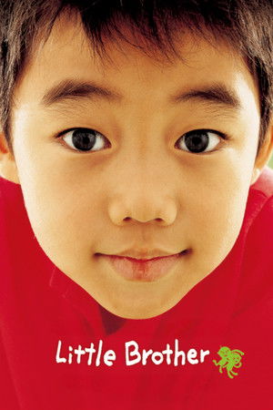 Little Brother Little Brother