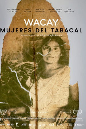 Wacay, mujeres del tabacal Wacay, mujeres del tabacal
