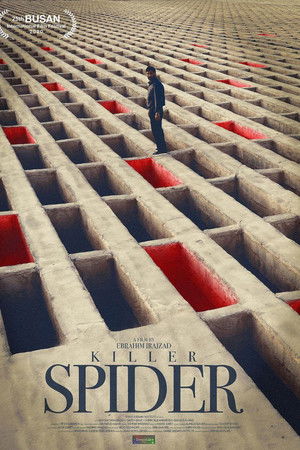 Killer Spider Killer Spider