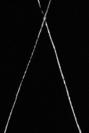 La Señal Cósmica La Señal Cósmica