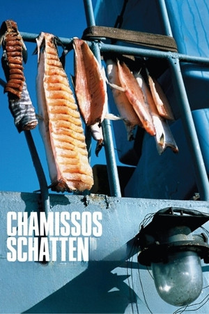 Chamisso’s Shadow Chamisso’s Shadow