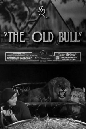 The Old Bull The Old Bull