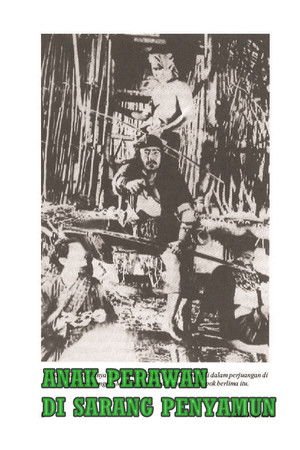 The Virgin in the Robbers' Nest The Virgin in the Robbers' Nest